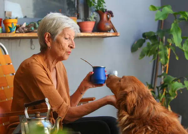 Yerba Mate 'in evinde eğlenen ve köpeğiyle bağ kuran son sınıf öğrencisi mutlu bir kadın. 