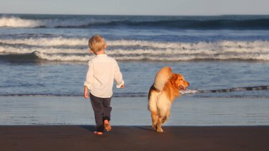 köpek ve küçük çocuk yaz akşamları gün batımında denizde yürüyorlar.