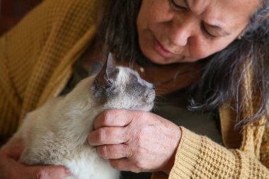 İçeride gülümseyen bir kedi tutan yaşlı Latin kadının yakın plan portresi.