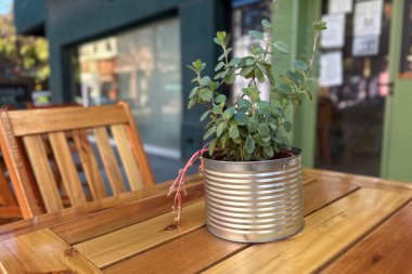 Yenilenmiş eski metal bir teneke kutudan bitki yetiştirmeyi gösteren yaratıcı bir yükseltme fikri.