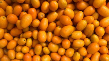 Taze olgun kumkatlar. Minyatür narenciye meyveleri sıkıca gruplandırılmış, parlak dokularını ve zengin renklerini sergiliyorlar. Sağlıklı yiyecekler, turunçgiller ve doğal meyveler için ideal.