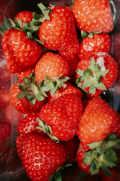 stock image Fresh strawberries on the street, closeup overhead