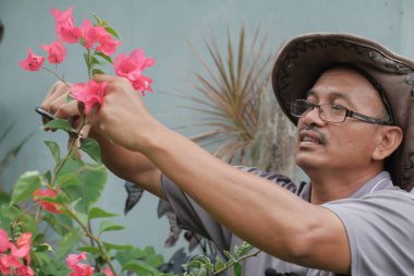 Asyalı erkekler, genç filizlerin kesimlerinden yeni bitkiler yetiştirerek bitki üretiyor..