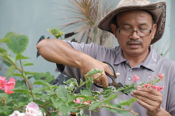 Asian men are making plant propagation by growing new plants from cuttings of young shoots.