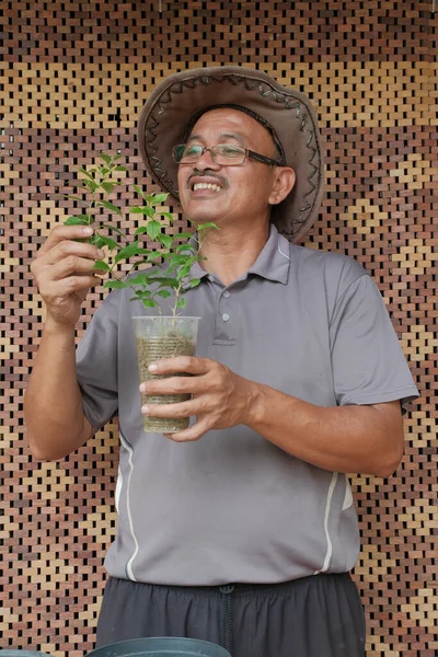 Asiatischer Bonsai Künstler Beim Umtopfen Eines Bonsai Baumes Bougainvillea — Stockfoto