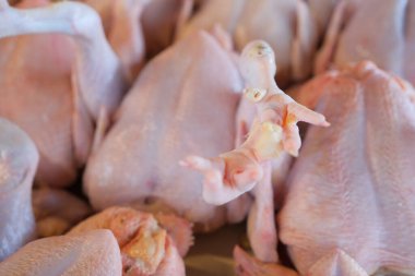 Pazarda taze işlenmiş tavuk.