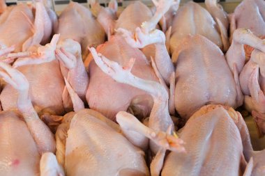 Pazarda taze işlenmiş tavuk.