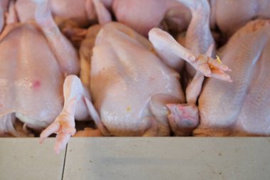 Pazarda taze işlenmiş tavuk.