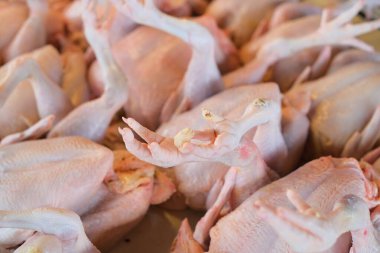 Pazarda taze işlenmiş tavuk.