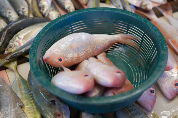 Ikan Kerisi Fresco Para Venta Mercado Pescado — Foto de Stock