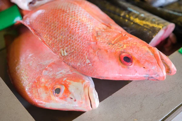 Pescado Pargo Rojo Fresco Mercado — Foto de Stock