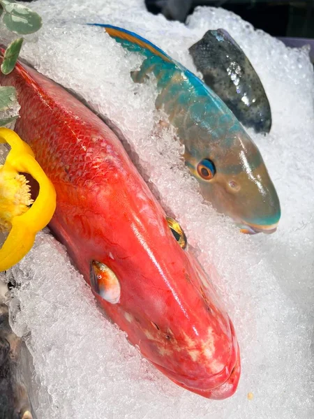 Fresh seafood on ice at the fish market