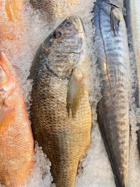 Pazarda taze balık ve deniz ürünleri var.