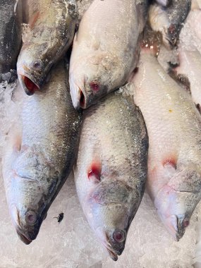 Pazarda taze balık ve deniz ürünleri var.