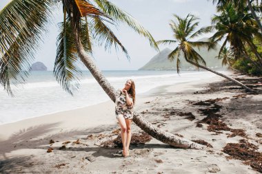 Sahildeki palmiye ağacının yanında güzel bir kız