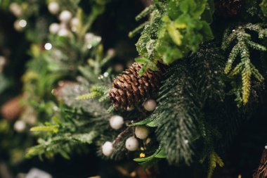 Çam kozalaklı parlak Noel dalları