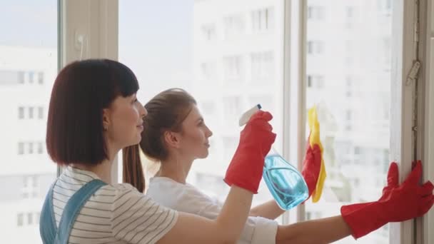 Modern Çatı Katında Çalışan Profesyonel Temizlik Ekibi Pozitif Kadın Temizlik — Stok video
