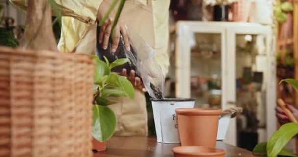 植物の店は土で陶磁器の鍋を満たすエプロンを身に着けている認識できない労働者 苗の植え付けプロセス ホームガーデニング 趣味とレジャーのコンセプト ケアプラントを取る女性の手 — ストック動画