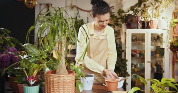 ケアをする女性の手 趣味とレジャーのコンセプト 環境保全のコンセプト リサイクル 土で陶磁器の鍋を満たすエプロンを身に着けている植物の店の労働者 — ストック動画