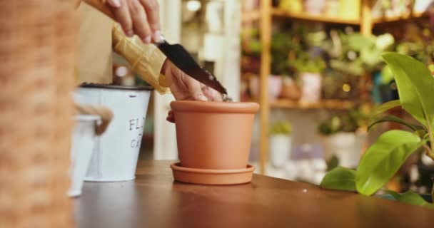 Conceito Jardinagem Transplantes Mãos Lavanda Planta Vaso Cerâmico Como Repot — Vídeo de Stock