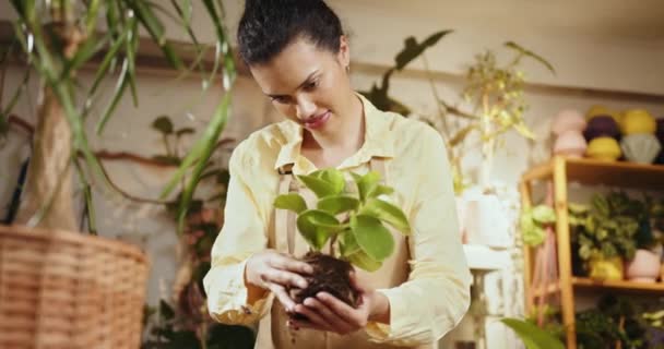 Mujer Jardinero Manos Sosteniendo Planta Onagra Con Sistema Raíces Visibles — Vídeos de Stock
