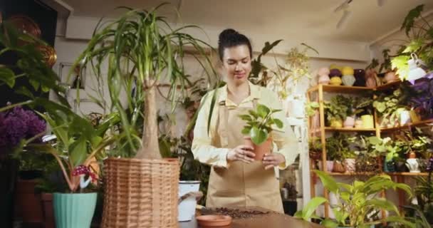 Souriant Assistant Magasin Travaillant Dans Magasin Plantes Pot Intérieur Petite — Video