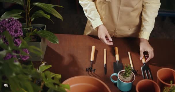 냄비에 식물에 상점에서 테이블 카운터에 장비를 앞치마에 인식할 꽃집의 클로즈업 — 비디오