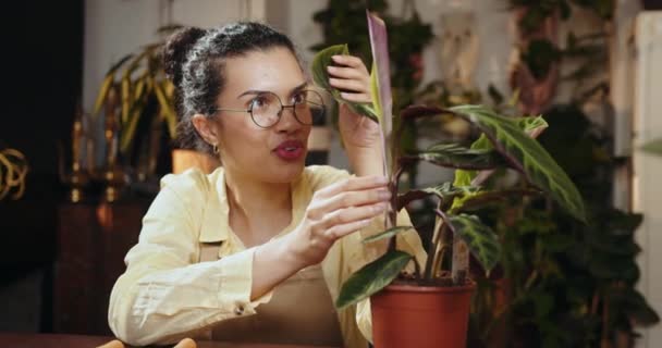 中小企業 起業家 職業コンセプト アフリカ系アメリカ人は 花屋や植物店で植物の大きな緑の葉から幸せな女性を拭きます アフリカ系アメリカ人女性フロリス — ストック動画