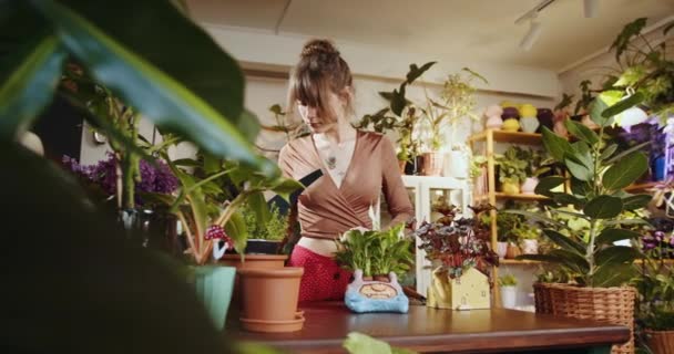 Asistente Femenina Caucásica Que Trabaja Con Flores Macetas Florería Tienda — Vídeos de Stock