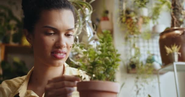 Botanista Cuidando Planta Una Maceta Mientras Está Florería Sonriendo Exitosa — Vídeo de stock