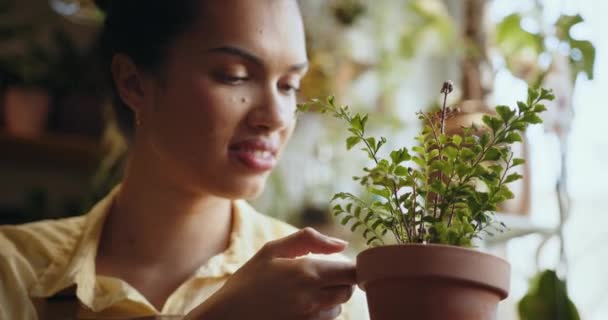 小企业 企业家和专业概念 植物学家在花店里照料盆中的植物 微笑着站在盆子里的成功的女厂主 — 图库视频影像