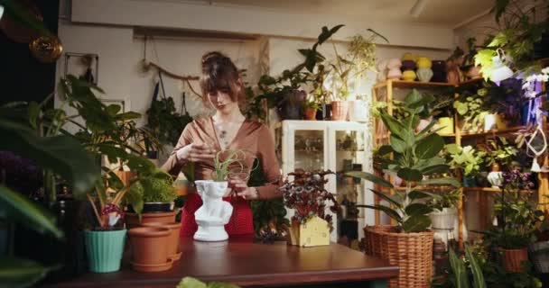 Kafkas Kadın Asistanı Çiçek Dükkanındaki Modern Saksıda Topraksız Sulu Bitkilerle — Stok video