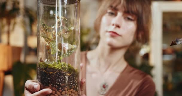 彼女の職場の植物店のガールセラーは 瓶の中の植物の世話をするツイザーで乾いた葉を取り除きます 植物店でモダンなポットで土なしで簡素な植物で働くアシスタント — ストック動画