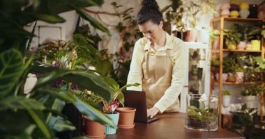 Çiçekçide çalışan ve envanter çıkartan önlüklü mutlu Fransız melez kadın çiçekçiler. Seradaki masada dizüstü bilgisayarda yazan Amerikalı bir kadın. Küçük işletme girişimcisi, bitki bakımı konsepti