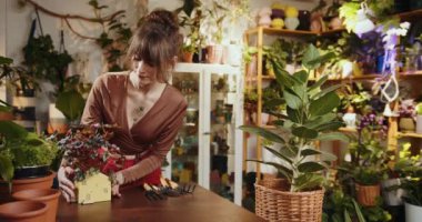 Kafkas kadın asistanı çiçek dükkanındaki modern saksıda topraksız sulu bitkilerle çalışıyor. Gülümseyen başarılı kadın fabrika sahibi saksıların arasında dikiliyor.