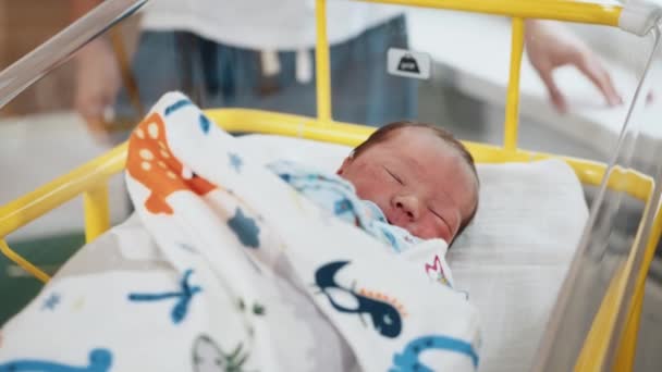 Criança Recém Nascida Branca Adorável Deitada Uma Cama Hospital Uma — Vídeo de Stock