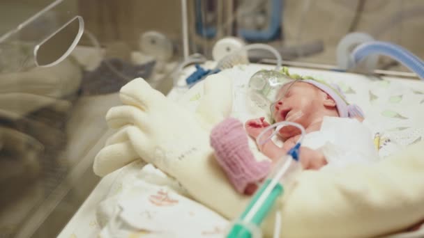 Menina Lilás Tricotado Boné Bebê Prematuro Foco Seletivo Olho Bebê — Vídeo de Stock