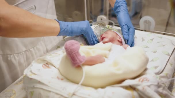 Mano Irreconocible Guantes Enfermera Médico Que Cuida Bebé Prematuro Colocados — Vídeos de Stock