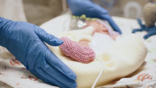 Unrecognizable Nurse Weighs Scales Premature Newborn Baby Premature Infants Department — Stock Video
