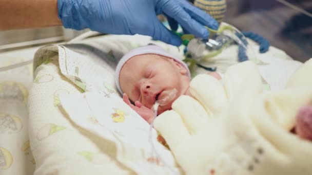 生まれたばかりの赤ん坊の隣に立っている医師 認知できない看護師は 早産児科の早産児の早産児を対象としています 未熟な新生児の医療と医療コンセプト — ストック動画