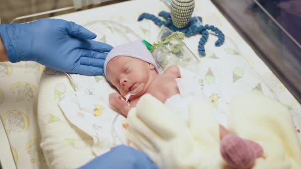 병원에서 신생아 장치를 돌보는 장갑의 수없는 의사의 신생아는 인큐베이터에 배치됩니다 — 비디오