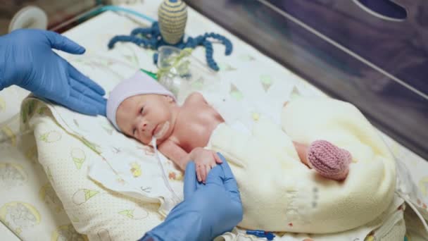 在医院新生儿重症监护病房用听诊器检查早产儿的无法辨认的医生的头像 新生儿被放在孵化器里 — 图库视频影像