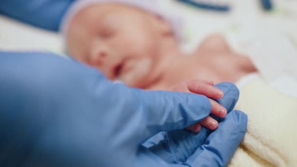 Médico Irreconhecível Examinando Bebê Prematuro Com Estetoscópio Unidade Terapia Intensiva — Vídeo de Stock