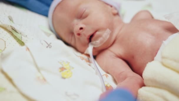 戴白色手套的无法辨认的护士对早产婴儿采取行动和照顾 有选择地关注婴儿的眼睛 新生儿被放在孵化器里 新生儿特护病房 — 图库视频影像