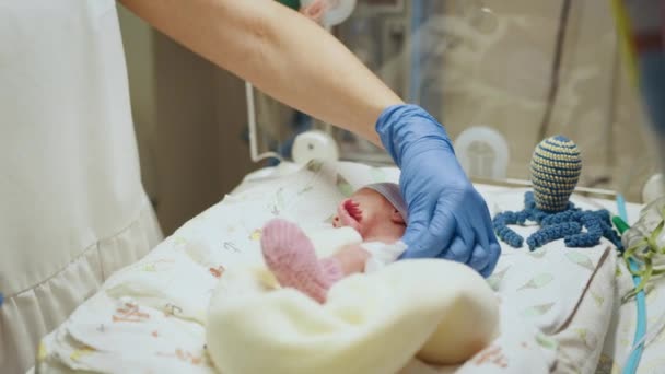 Egy Napos Újszülött Csecsemő Intenzív Osztályon Orvosi Inkubátorban Makró Fotó — Stock videók