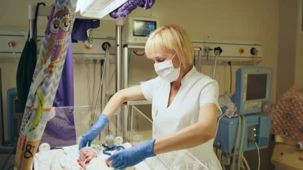Enfermeira Médica Cuidando Bebê Recém Nascido Dentro Incubadora Enfermeira Olhando — Vídeo de Stock