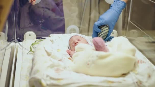 白い手袋の認識できない看護師は 早産児のための行動とケア 赤ちゃんの目に選択的な焦点を当てます 新生児はインキュベーターに入れられます 新生児集中治療ユニット — ストック動画