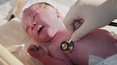 Hastanede yeni doğmuş bir bebek. Doğum uzmanı çocuk doktoruyum. Doktor, yeni doğmuş bir bebeği hayatın ilk birkaç dakikasında muayene eder. Hastanede yeni doğmuş bir bebek - yeni hayatın ilk dakikaları