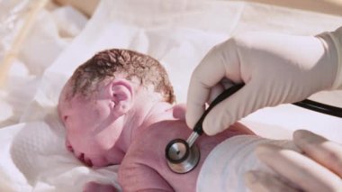 Hastanede yeni doğmuş bir bebek. Doğum uzmanı çocuk doktoruyum. Doktor, yeni doğmuş bir bebeği hayatın ilk birkaç dakikasında muayene eder. Hastanede yeni doğmuş bir bebek - yeni hayatın ilk dakikaları