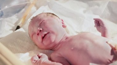 Hastanede yeni doğmuş bir bebek. Doğum uzmanı çocuk doktoruyum. Doktor, yeni doğmuş bir bebeği hayatın ilk birkaç dakikasında muayene eder. Hastanede yeni doğmuş bir bebek - yeni hayatın ilk dakikaları